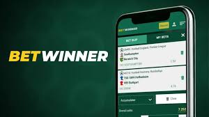 BetWinner Withdrawals A Comprehensive Guide -627231608